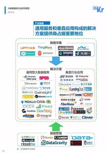 大數(shù)據(jù)服務(wù)行業(yè)研究報(bào)告 完整版ppt